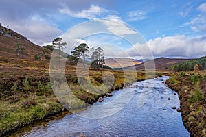 Cairngorms National ParkÂ , Scotland, UK